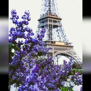 Vintage Timeless Handbags,Wallets, etc. > Mademoiselle Luxe💜🎁🛍